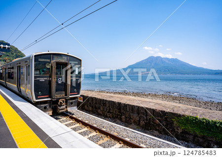 仙巌園駅から見る桜島と電車 仙巌園駅から見る桜島と電車 124785483