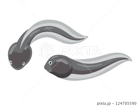 Frog life cycle stage. Tadpole. Wild water animal, development toads. Amphibian illustration. Hand drawn colorful diagram on white background Frog life cycle stage. Tadpole. Wild water animal, development toads. Amphibian illustration. Hand drawn colorful diagram on white background 124785590