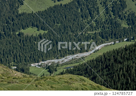 Mountain forest stream 124785727