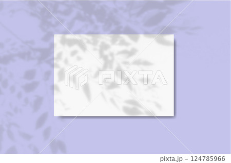 Natural light casts shadow from the leaves of a tree branch on horizontal sheet of textured white paper on violet table background. Mockup 124785966