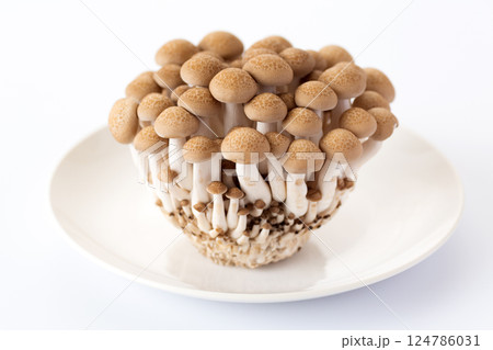 ぶなしめじ 124786031