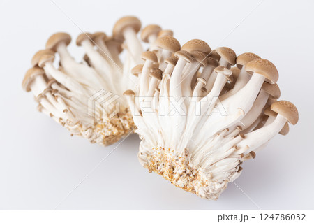 ぶなしめじ 124786032