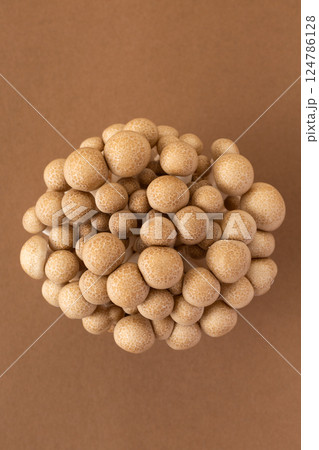 ぶなしめじ 124786128