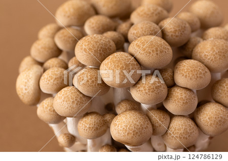 ぶなしめじ 124786129