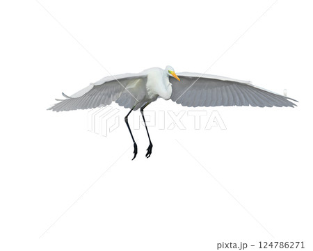 Dangerous landing Dangerous landing 124786271
