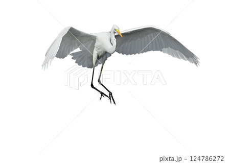 Dangerous landing Dangerous landing 124786272