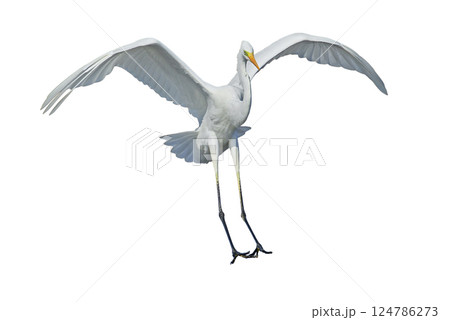 Dangerous landing Dangerous landing 124786273