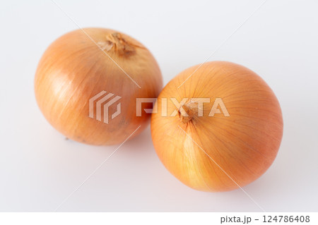 玉ねぎ 124786408