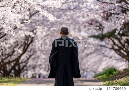 僧侶と樹木葬のイメージ 124786669