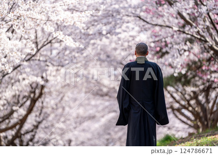 僧侶と樹木葬のイメージ 僧侶と樹木葬のイメージ 124786671