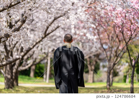 僧侶と樹木葬のイメージ 僧侶と樹木葬のイメージ 124786684