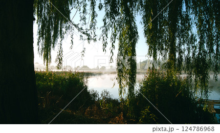 View of the lake from behind the willow branches, contrasting landscape 124786968