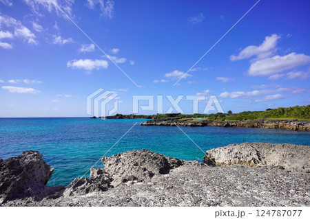 渡口の浜の海 124787077