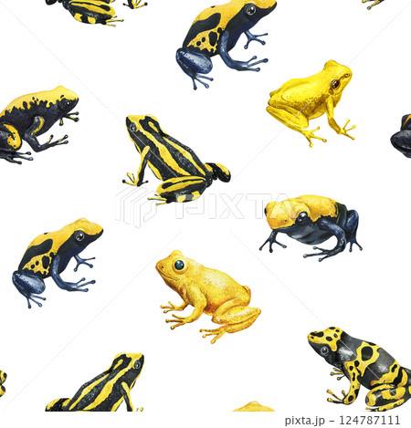 watercolor seamless pattern with yellow and black poison frogs on white background for tropical wildlife decoration watercolor seamless pattern with yellow and black poison frogs on white background for tropical wildlife decoration 124787111