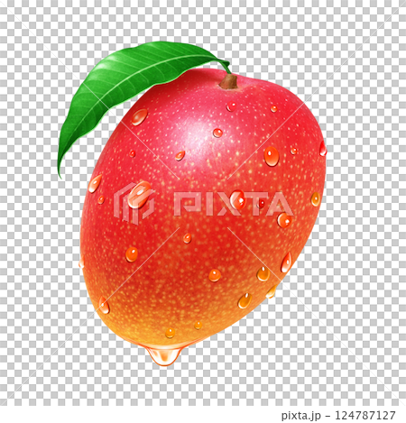 Mango illustration realistic white background 124787127