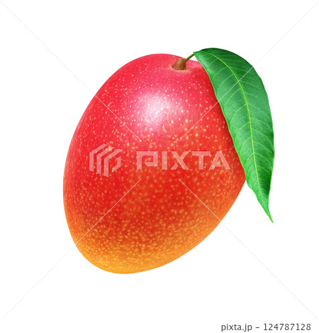 マンゴー イラスト リアル 白バック マンゴー イラスト リアル 白バック 124787128