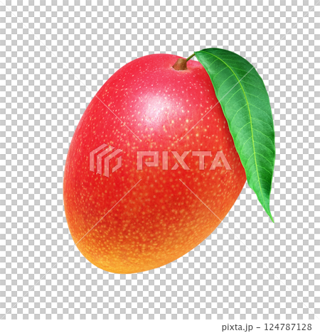 Mango illustration realistic white background 124787128