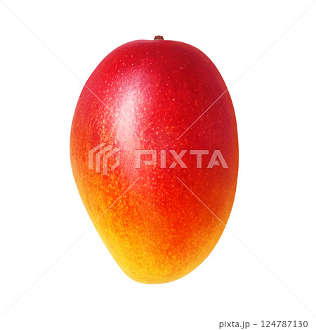 マンゴー イラスト リアル 白バック 124787130