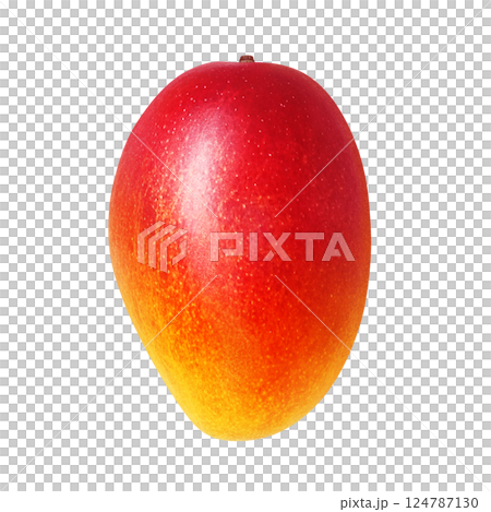 Mango illustration realistic white background 124787130