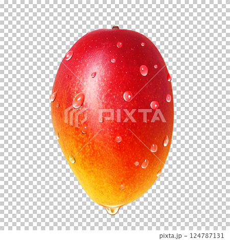 Mango illustration realistic white background 124787131