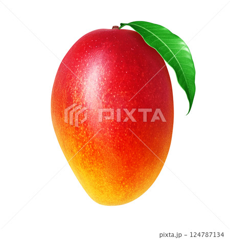マンゴー イラスト リアル 白バック マンゴー イラスト リアル 白バック 124787134