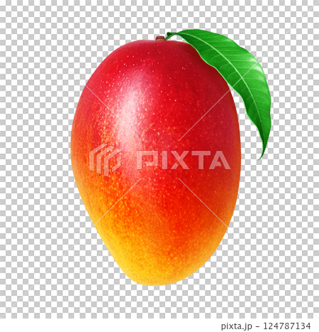 Mango illustration realistic white background 124787134