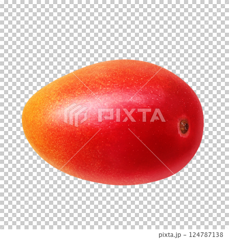 芒果插圖逼真的白色背景 芒果插圖逼真的白色背景 124787138