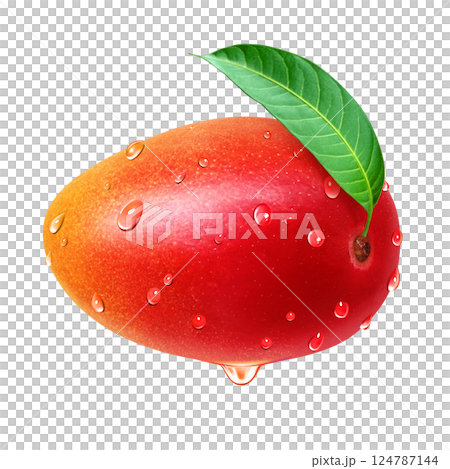 Mango illustration realistic white background 124787144