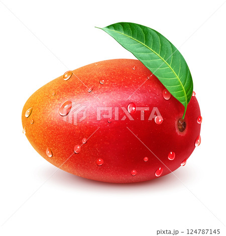 マンゴー イラスト リアル 白バック 124787145
