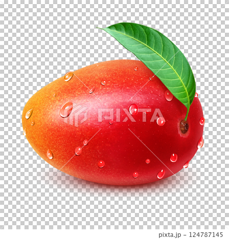 マンゴー イラスト リアル 白バック 124787145