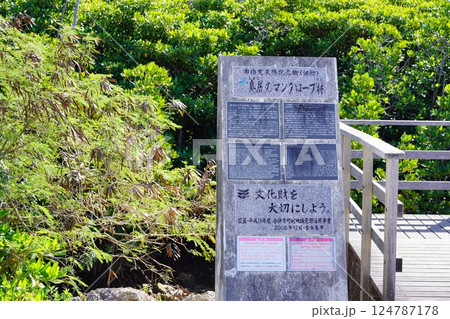 宮古島のマングローブ林 宮古島のマングローブ林 124787178