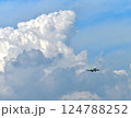 夏空の飛行機 124788252