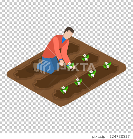 3D Isometric Flat Illustration of Cotton Farm. Item 3 3D Isometric Flat Illustration of Cotton Farm. Item 3 124788537
