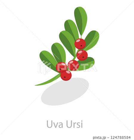 3D Isometric Flat Set of Astringent Herbs. Item 9 3D Isometric Flat Set of Astringent Herbs. Item 9 124788584