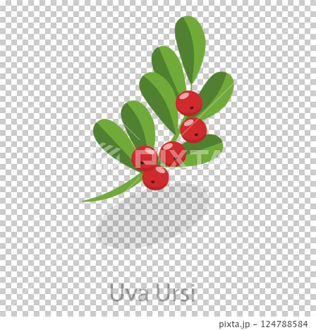 3D Isometric Flat Set of Astringent Herbs. Item 9 3D Isometric Flat Set of Astringent Herbs. Item 9 124788584