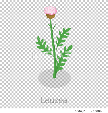 3D Isometric Flat Set of Healing Herbs. Item 1 3D Isometric Flat Set of Healing Herbs. Item 1 124788609