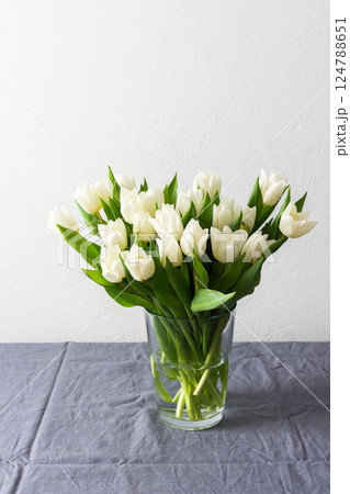 Elegant white tulips in a minimalist vase, placed in a modern living room setting, bringing freshness and tranquility to the spring-inspired interior decor Elegant white tulips in a minimalist vase, placed in a modern living room setting, bringing freshness and tranquility to the spring-inspired interior decor 124788651