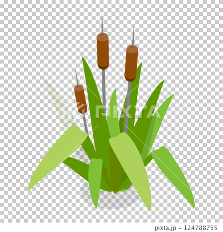 3D Isometric Flat  Set of Lake Aquatic Plants. Item 1 124788755