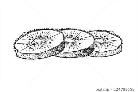 Monochrome kiwi fruit slices vector illustration painted by black inks. Tropical sweet Actinidia piece plant etching drawing. Chinese gooseberry Healthy food for dessert decor, cooking book 124789559