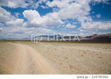 Landscape from remote region of Mongolia. Road to Altai mountains, Oigor valley Landscape from remote region of Mongolia. Road to Altai mountains, Oigor valley 124790360