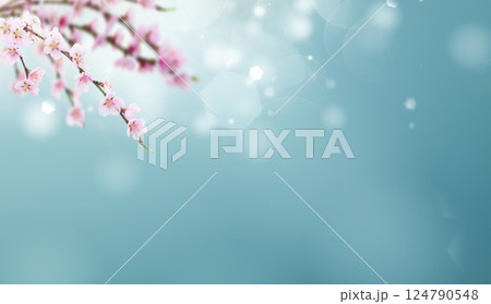 Cherry tree twig 124790548