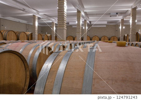 Wine barrels in the cellar of wine producer. 124791243