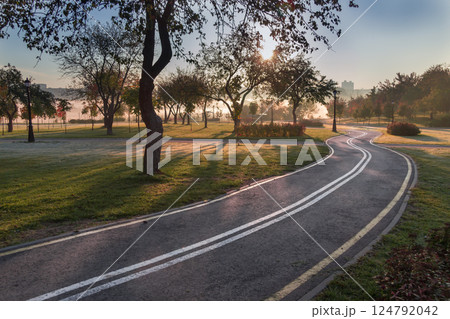 bike path in the park early in the morning bike path in the park early in the morning 124792042