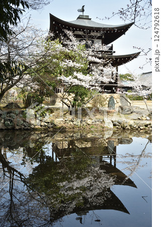 大本山勧修寺 氷室池に映る観音堂とサクラ(京都市山科区) 大本山勧修寺 氷室池に映る観音堂とサクラ(京都市山科区) 124792618