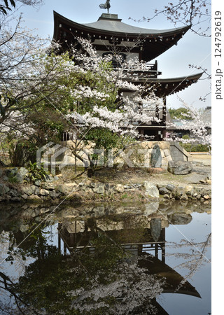 大本山勧修寺 氷室池に映る観音堂とサクラ(京都市山科区) 大本山勧修寺 氷室池に映る観音堂とサクラ(京都市山科区) 124792619