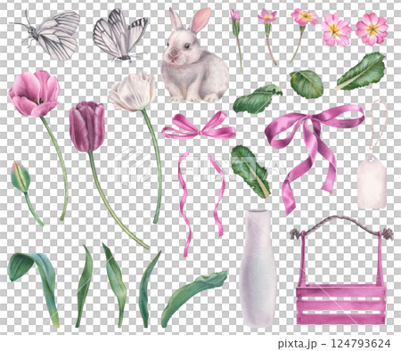 Spring set of tulips, primula flowers, green leaves, bunny, bows and butterflys. Hand drawn watercolor clip art of floral elements on isolated background. Perfect for polygraphy, planner, sticker 124793624