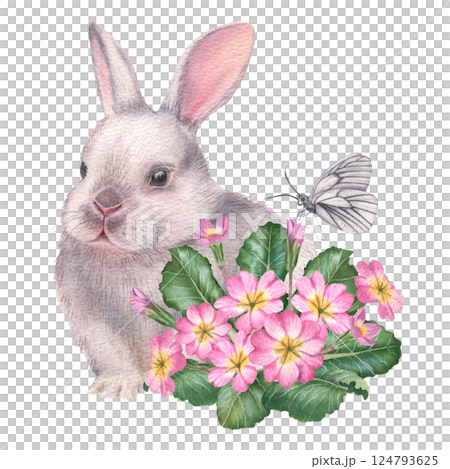 Easter fluffy white bunny with pink primula flowers and butterfly. Hand drawn watercolor illustration of baby rabbit and primrose on isolated background. Cute animal in pastel color for baby shower 124793625