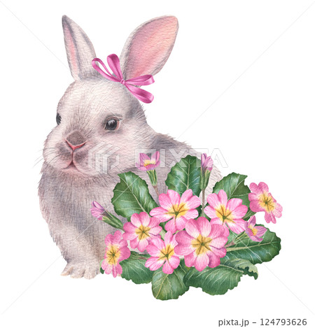 Easter fluffy white bunny with pink primula flowers. Hand drawn watercolor illustration of baby rabbit and primrose on isolated background. Cute animal in pastel color for baby shower invitations 124793626