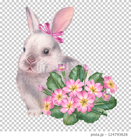 Easter fluffy white bunny with pink primula flowers. Hand drawn watercolor illustration of baby rabbit and primrose on isolated background. Cute animal in pastel color for baby shower invitations 124793626