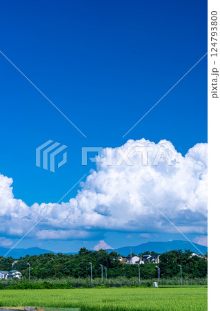 【夏素材】夏の田園風景と入道雲【長野県】 【夏素材】夏の田園風景と入道雲【長野県】 124793800
